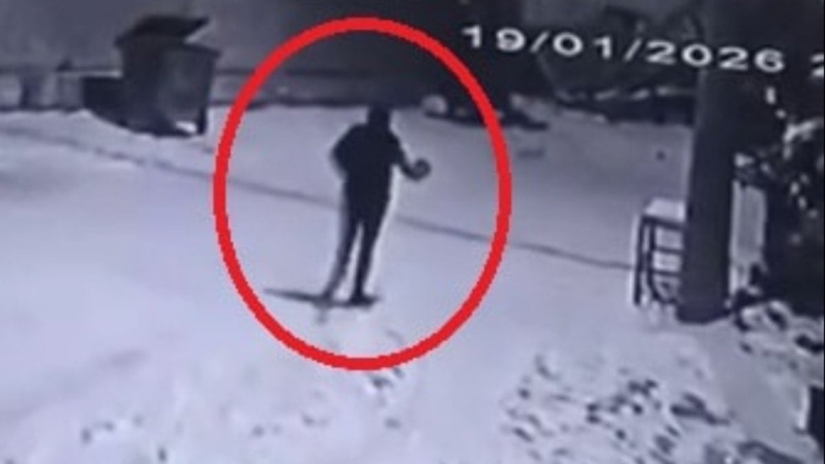 Mahalleye inen kurtları, elinde çaydanlıkla kovaladı