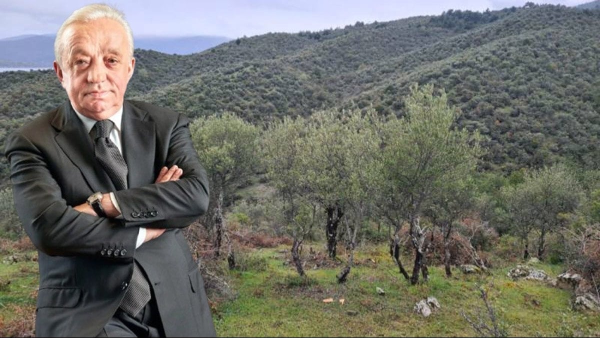 Cengiz maden için 224 bin ağaç kesecek!