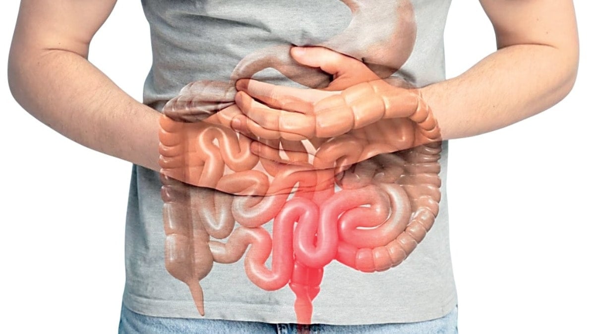 Bağırsağınız Sağlığınızı Nasıl Etkiliyor?