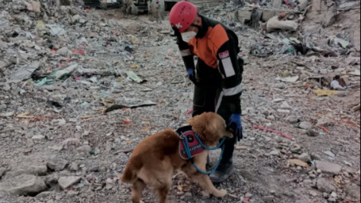 JAK köpeği 'Ocak', 8 yılda 48 can kurtardı