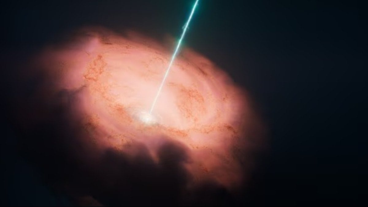 1990’lı yıllardan bu yana çözülemeyen gizem aydınlandı