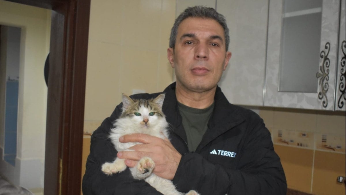 Dondurucu soğukta dairesini kedilere açtı