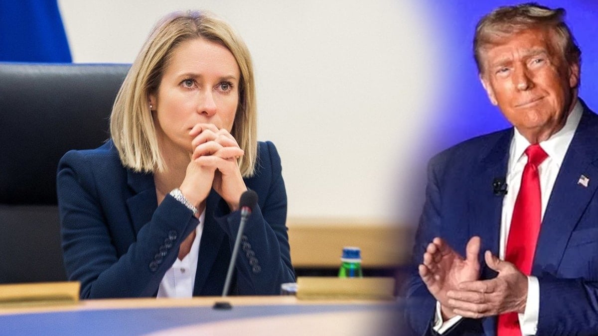 AB'den Trump'ı kızdıracak 'Grönland' çıkışı