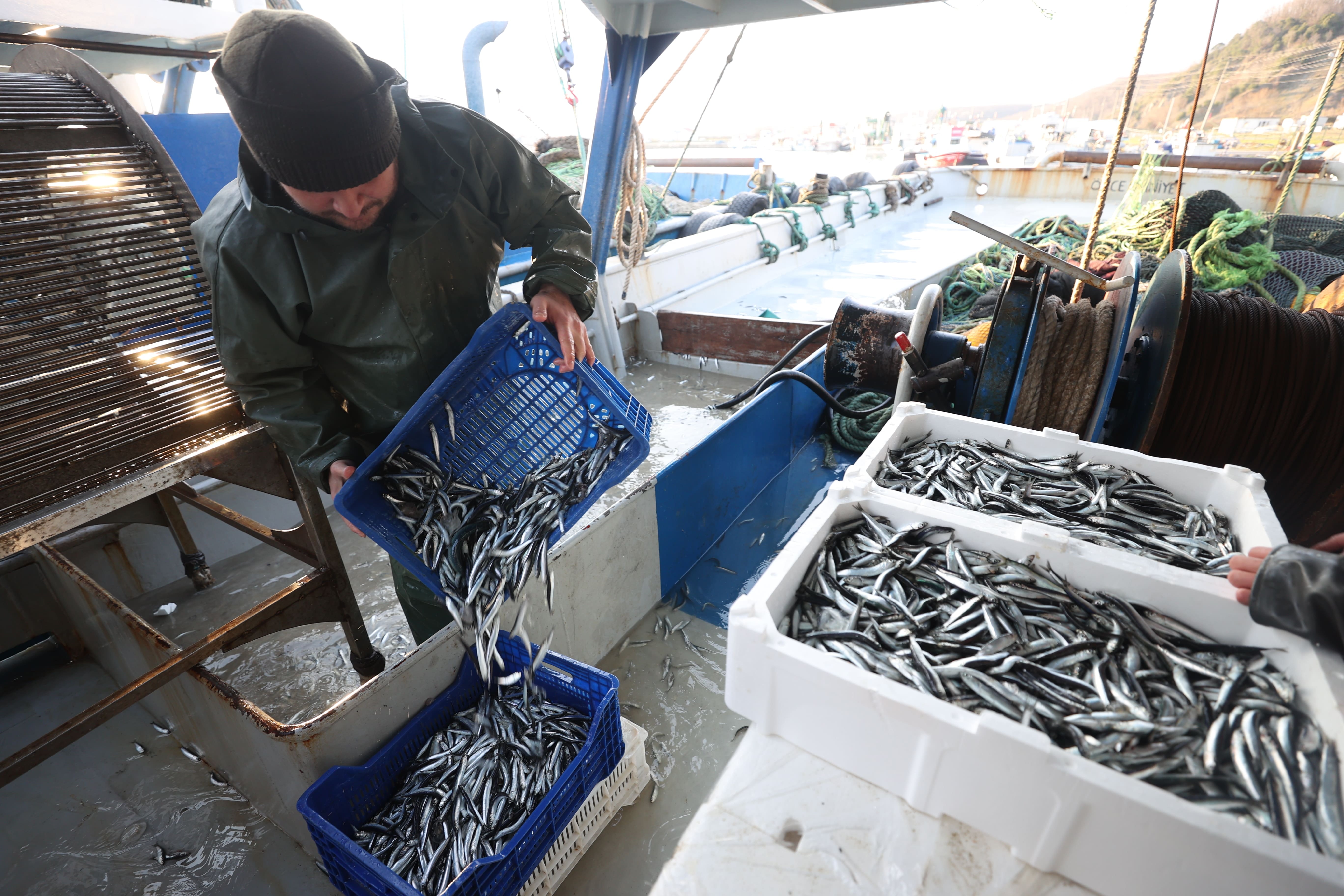 Denize açılan balıkçılar limana servetle döndü: Kasası 1500 lira