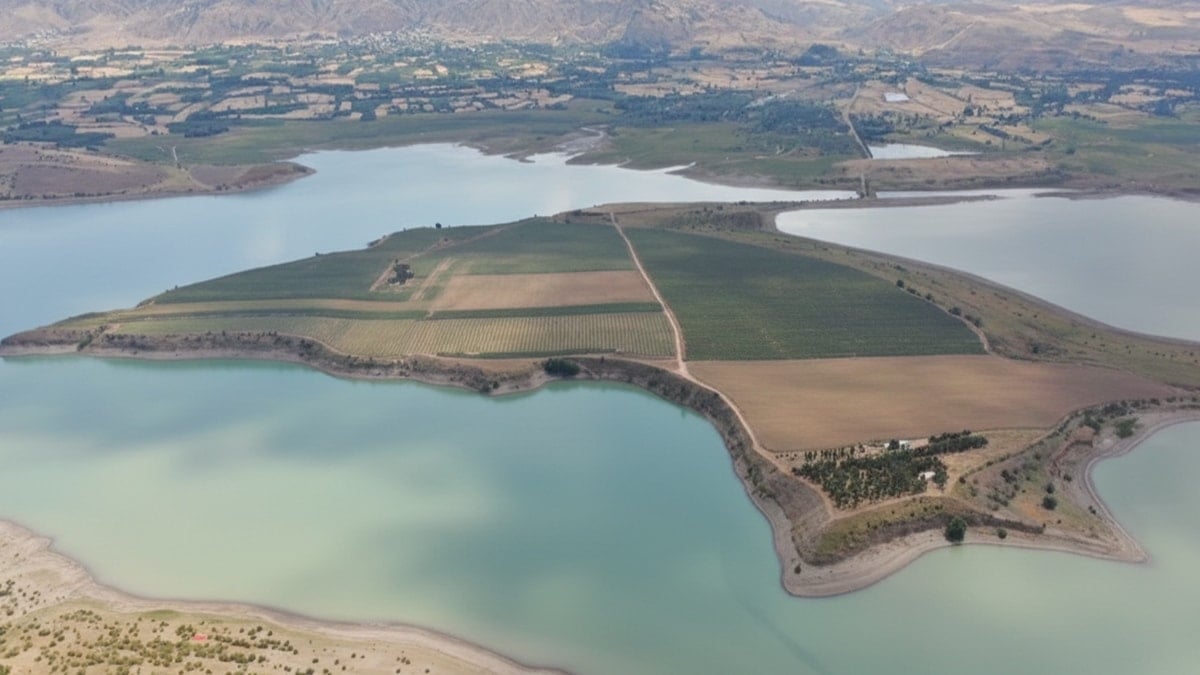 Bir daire fiyatına ada satıyorlar ama büyük bir sorunu var