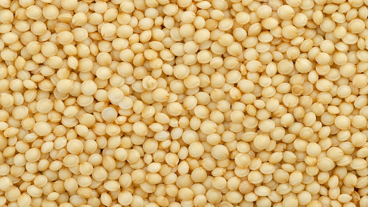 Kinoa, yulaf veya kahverengi pirinç değil: Meğer en sağlıklısı buymuş