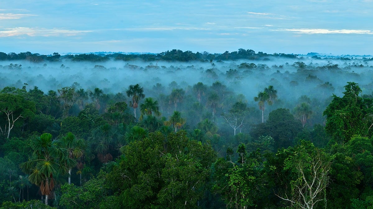 Milyonlarca yıl sonra yeni iklim türü ortaya çıktı