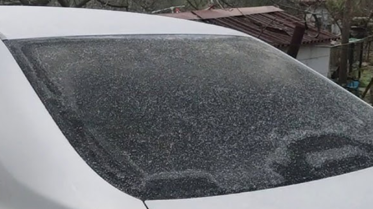 Tek bir tuşla buz tutmuş araba camını silgi gibi temizleyin