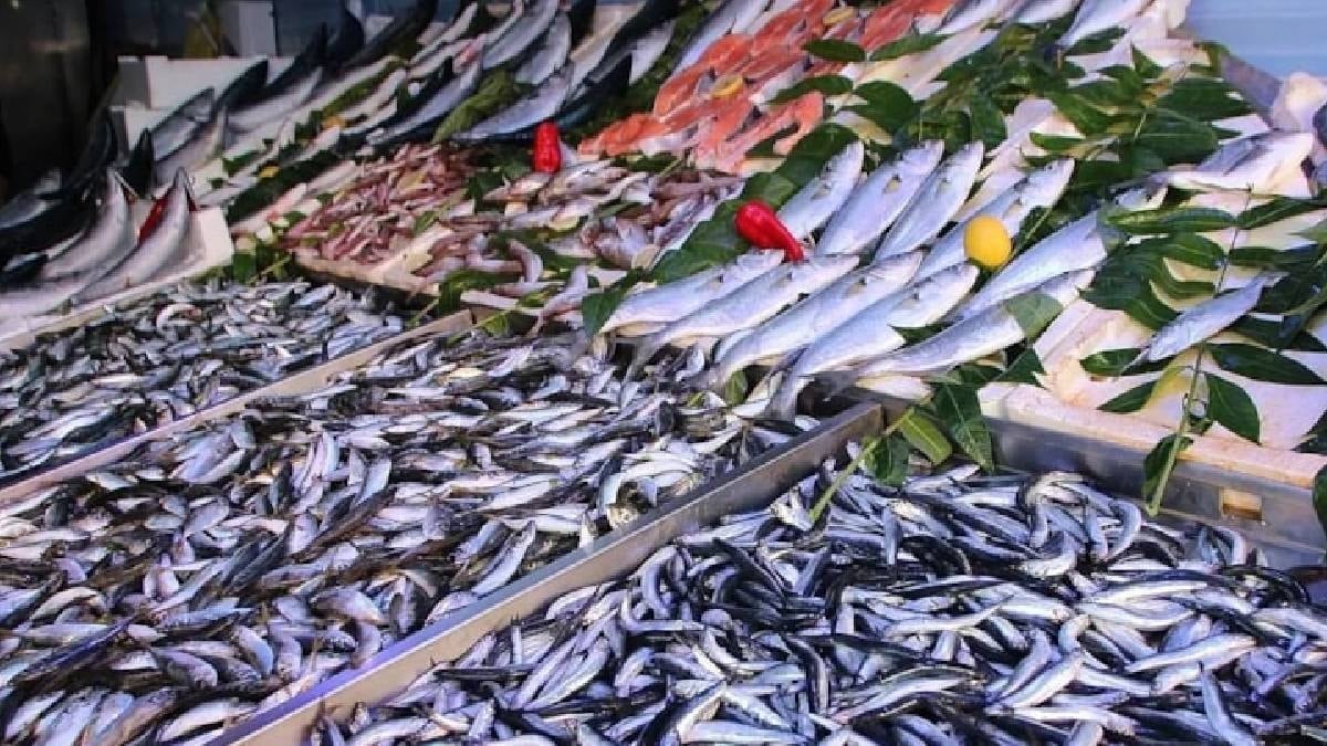 Somon ve uskumrudan hem daha ucuz hem daha sağlıklı balık