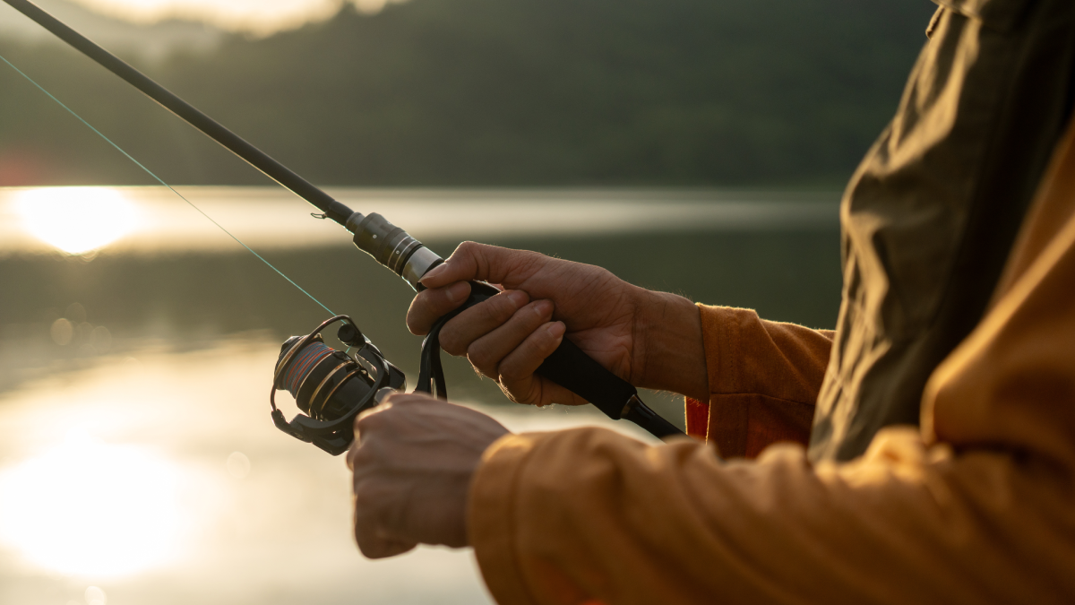 Oltaya zor gelen bu balığın vücudu alkol üretiyor