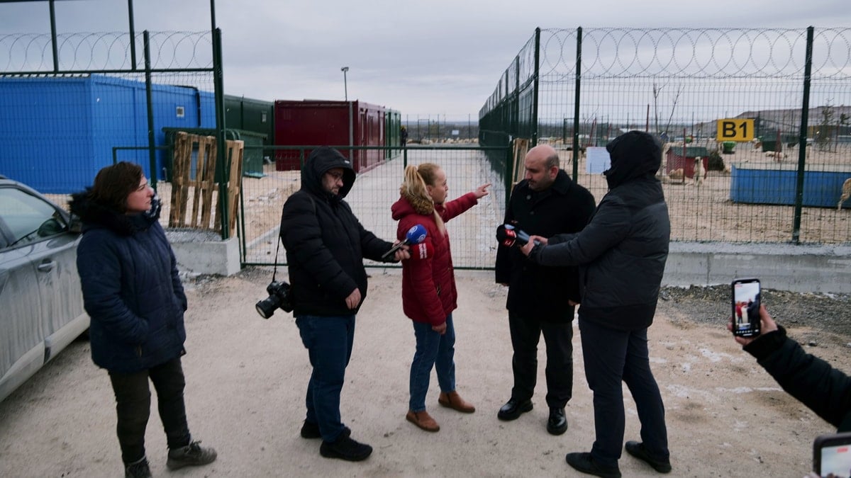 'Aç kalan köpekler birbirini yedi' iddiası
