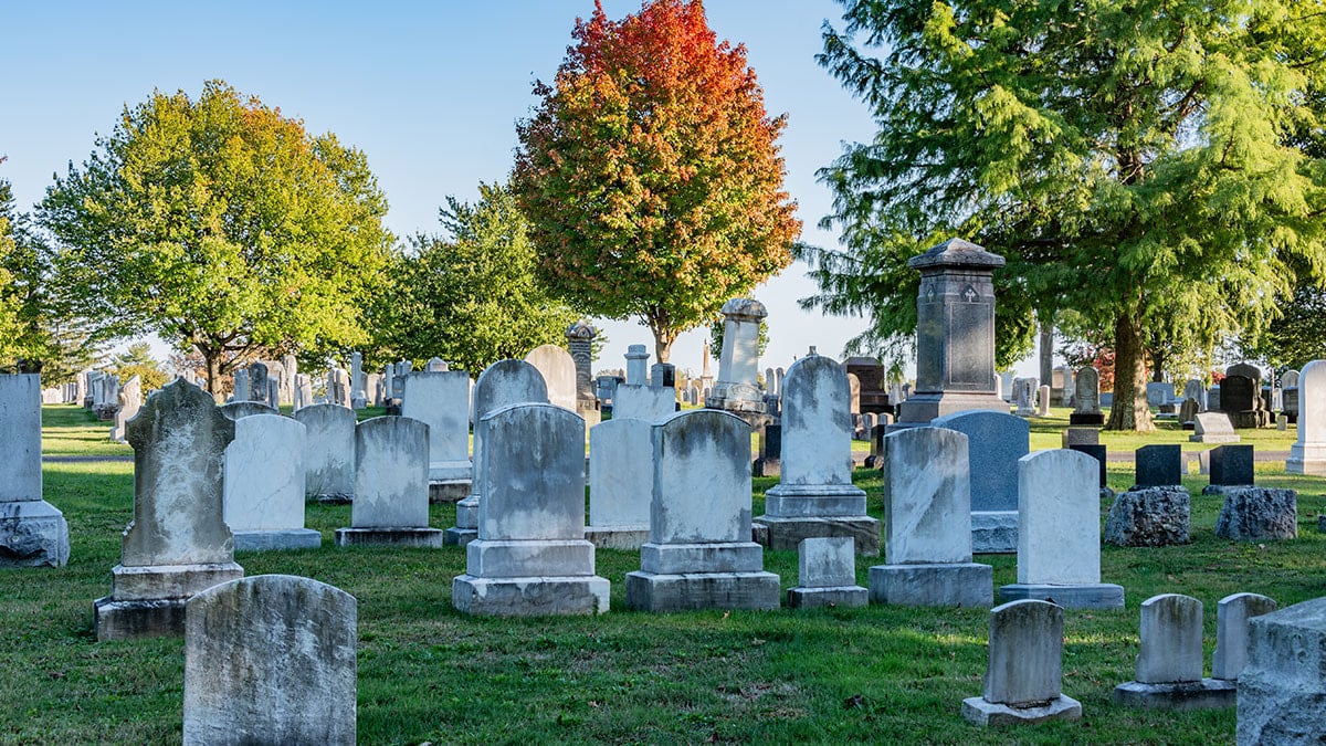 Evinde 100'den fazla insanın kafatası bulundu