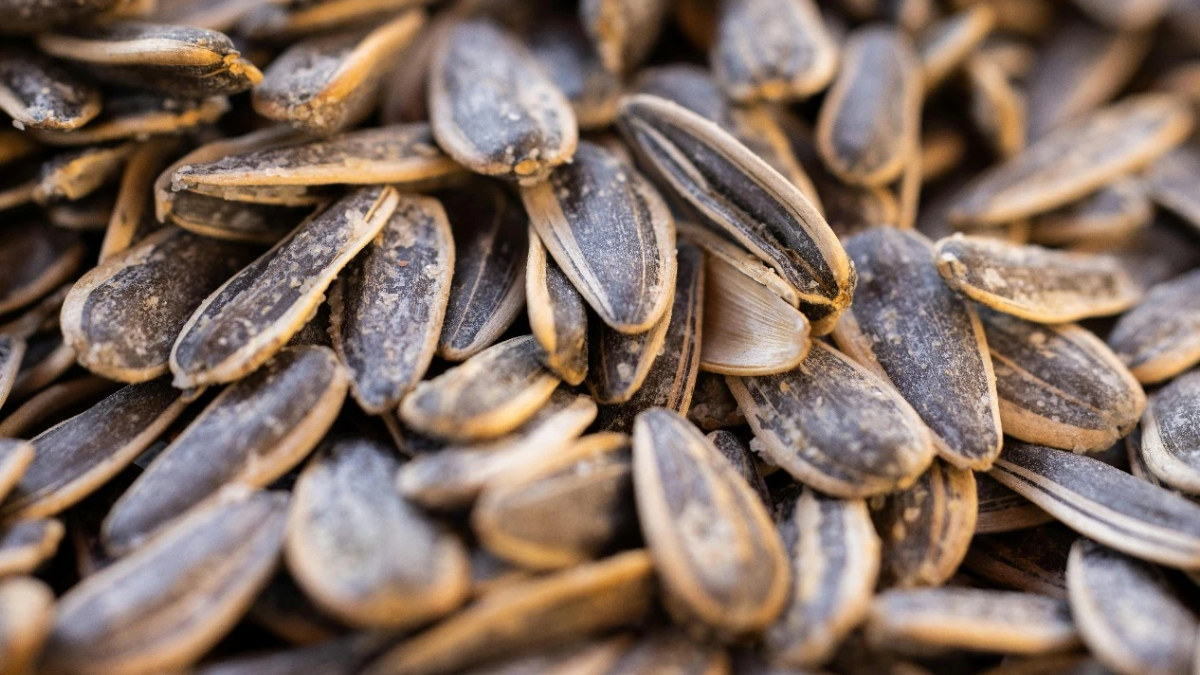 Herkesin iştahla yediği ünlü çekirdek markası toplatılıyor: Bir madde tespit edildi