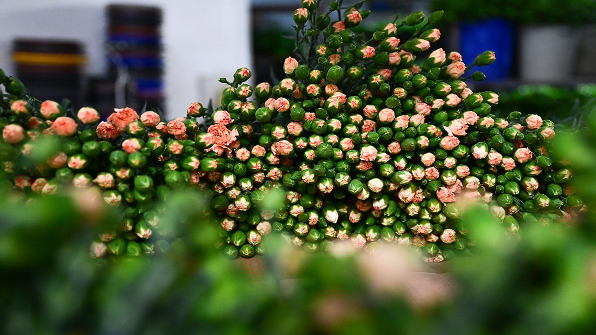 83 ülke Türkiye'den kapış kapış alıyor