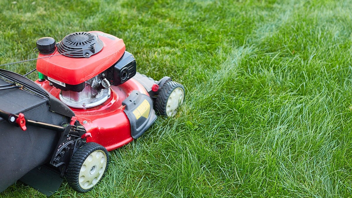 Cebine giren 6.6 milyar TL'yi çim biçme makinesiyle kutladı