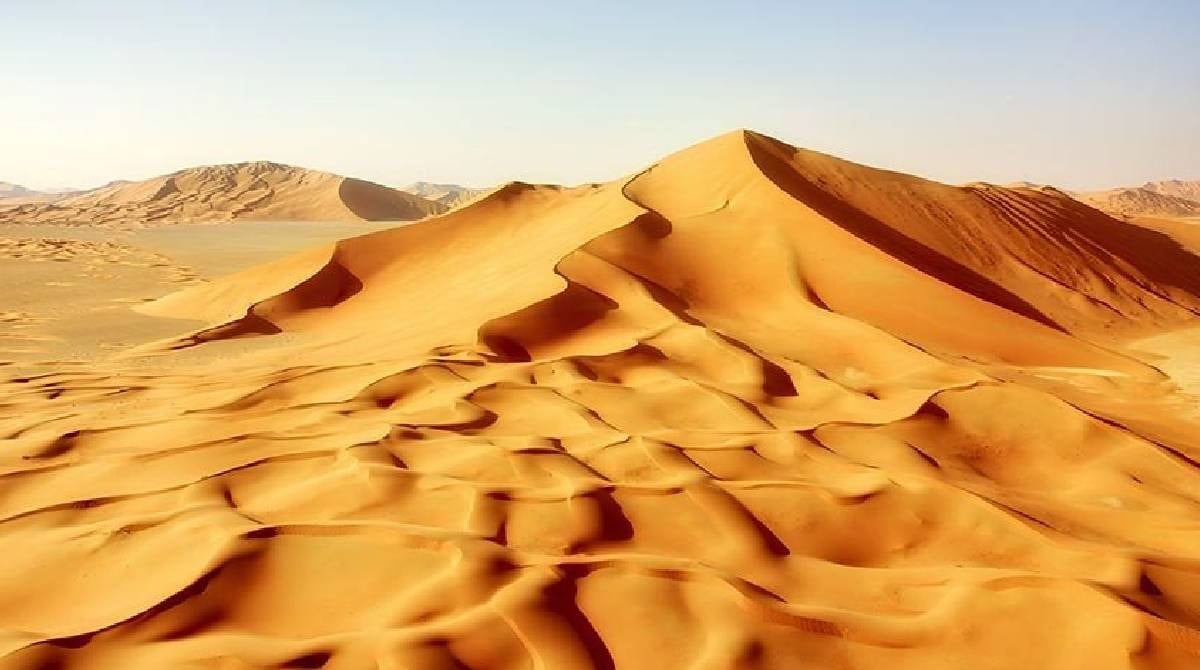 Dünyanın en yalnız canlısı: Çölün ortasında yıllarca tek başına yaşadı