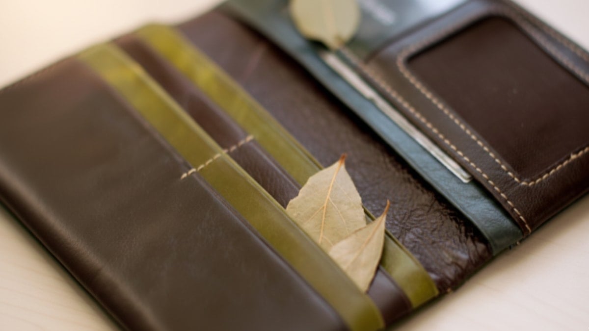 Cüzdanınıza hemen defne yaprağı koyun