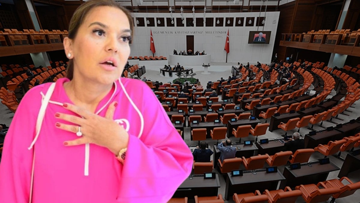 Demet Akalın Meclis'e gelecek teklifi duyunca isyan etti: Bize neden vermiyorsunuz?