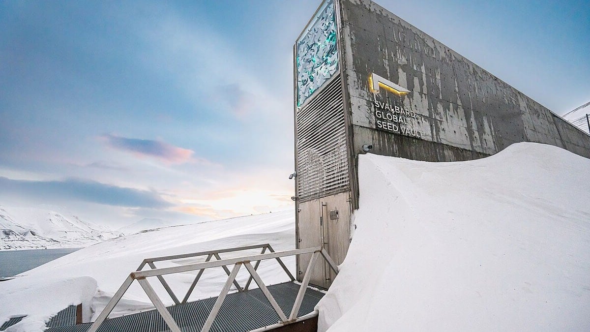 Sinek bile uçamıyor: İşte dünyanın en iyi korunan yasak noktası