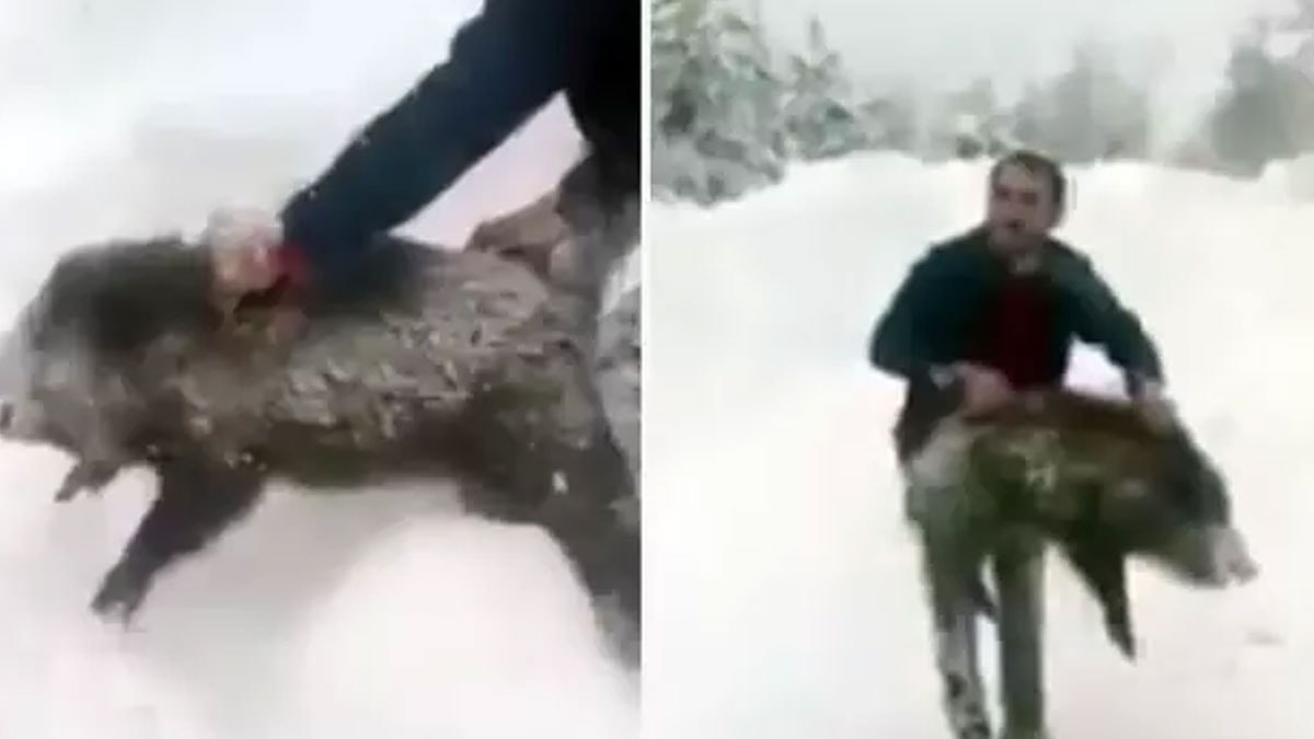 Dünya ağzında sigarasıyla domuz yakalayan Sinoplu Yılmaz'ı konuşuyor