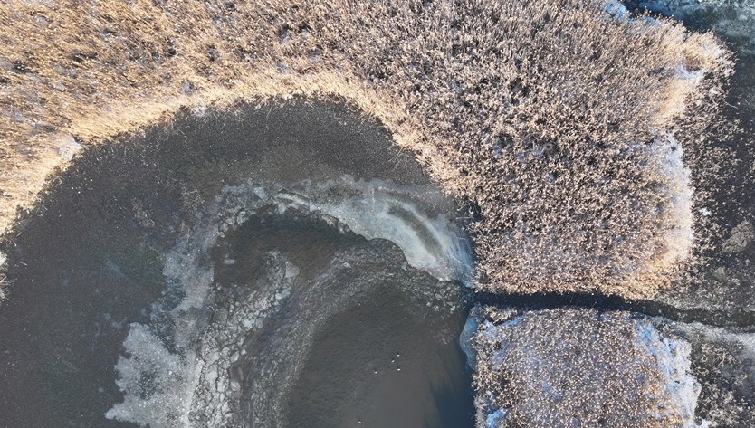 Göçmen kuşların ev sahipliğini yapıyordu: Buz kütlesine döndü