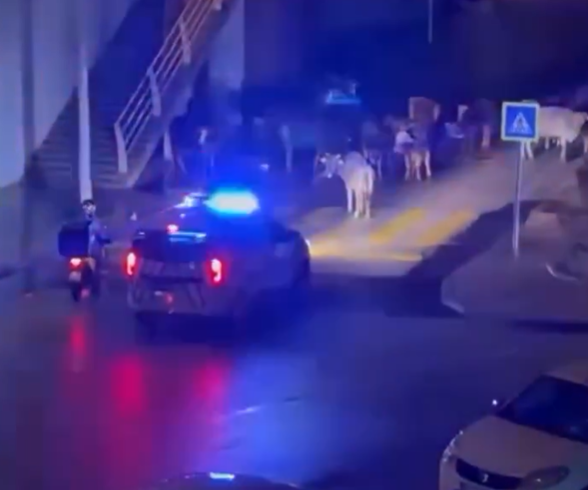 Polislerin anonsu sosyal medyanın diline düştü