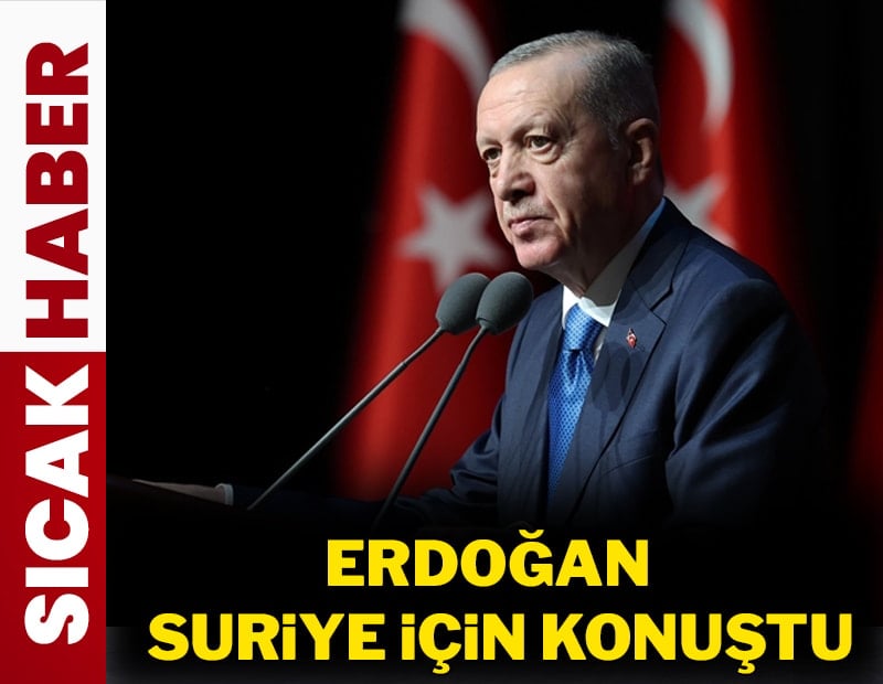 Erdoğan: Halep'in YPG'den temizlenmesi önemli kazanım