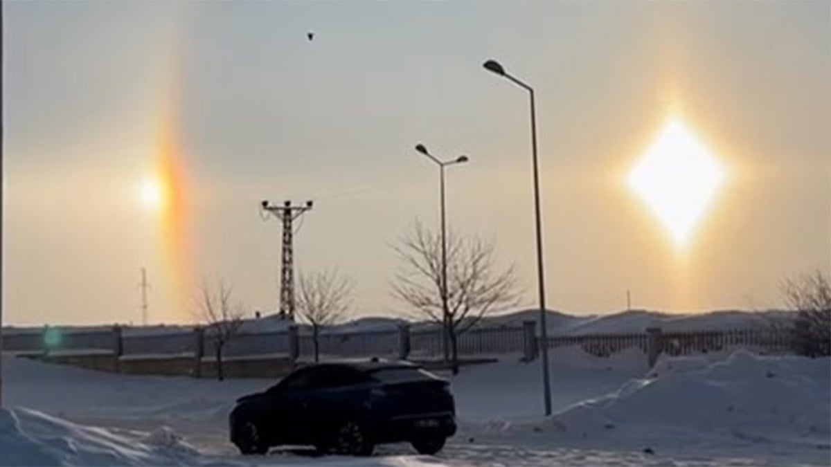 Bingöl'de şaşırtan görüntü! ilk kez gördü hemen kayda aldı