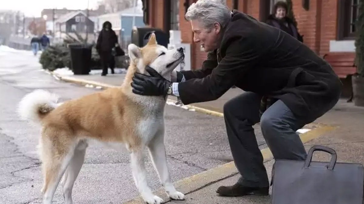 En sadık köpek ırkları belli oldu