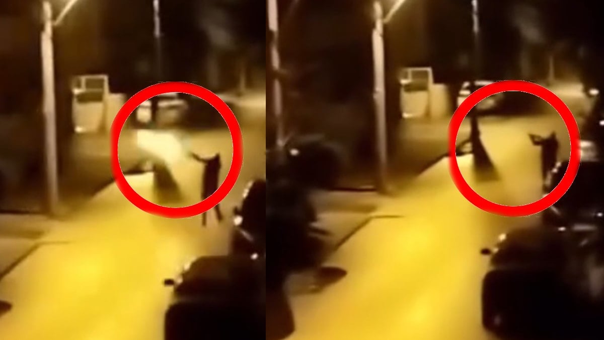 Yılbaşında korkuya neden olmuştu: Yakalandı