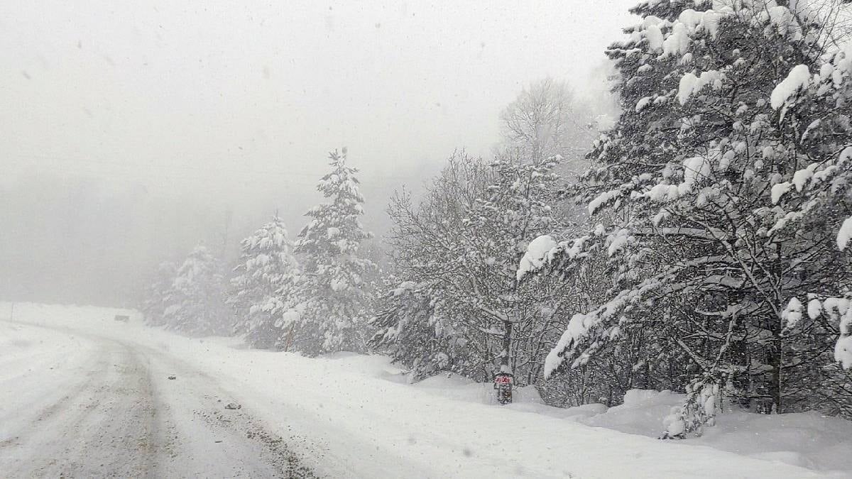 Soğuk hava felaketi beraberinde getirdi: Ulaşım çöktü, uçuşlar durdu