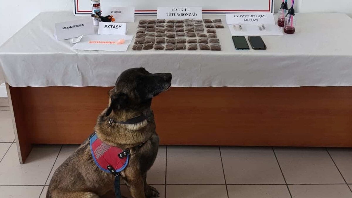 Kastamonu’da uyuşturucu operasyonu: 1 tutuklama