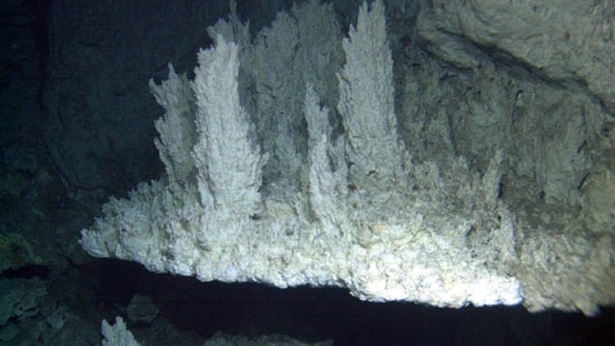 Okyanusun dibinde, dünyada eşi benzeri olmayan kayıp bir şehir bulundu