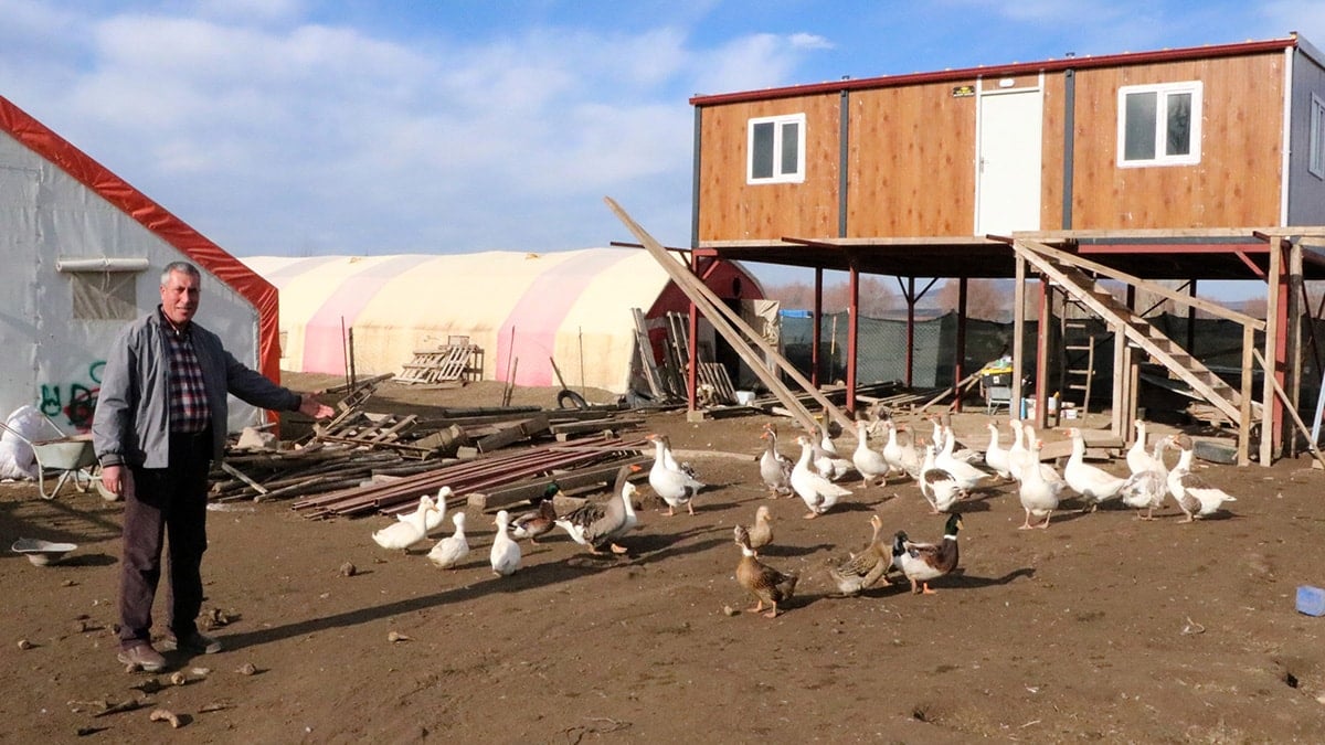 Üç asırdır yetiştirip tanesini 2 bin liraya satıyorlar: En çok talep İstanbul ve Ankara'dan