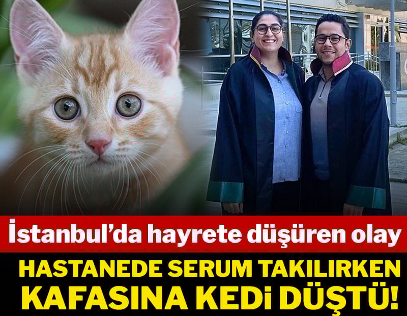 Hastanede serum takılırken kafasına kedi düştü: Tazminat aldı
