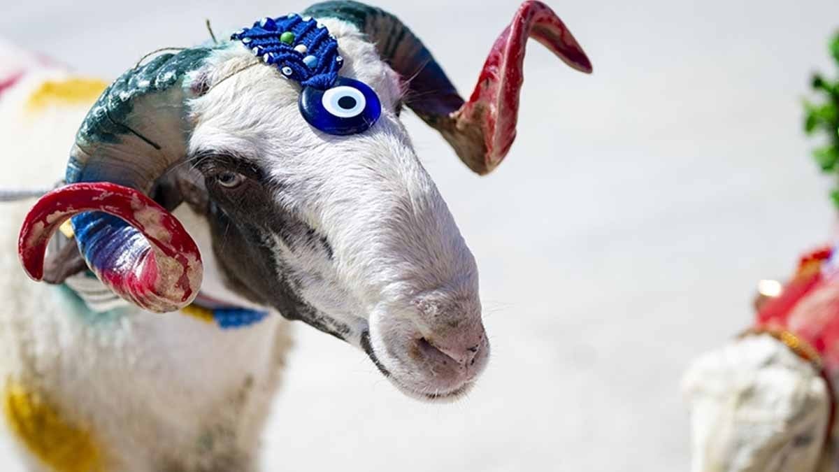 Kurban bayramı 2026 tatil takvimi! Arife günü ne zaman, kurban bayramı tatili kaç gün?