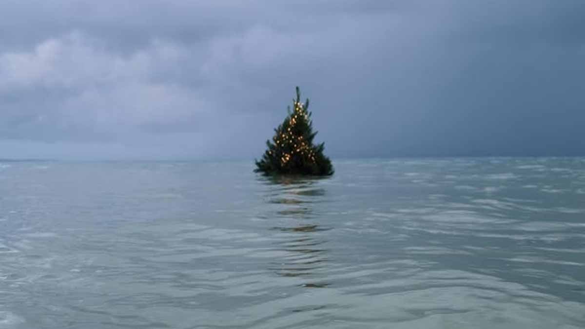 Fırtınalı denizde yüzen Noel Ağacı'nın duygusal hikayesi milyonları büyüledi