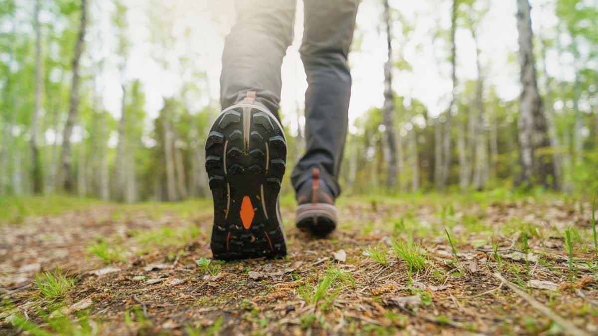 Saatte 4.8 KM hız, ömrü 5 yıl uzatıyor ve her gün yaptığımız tek hareket yetiyor