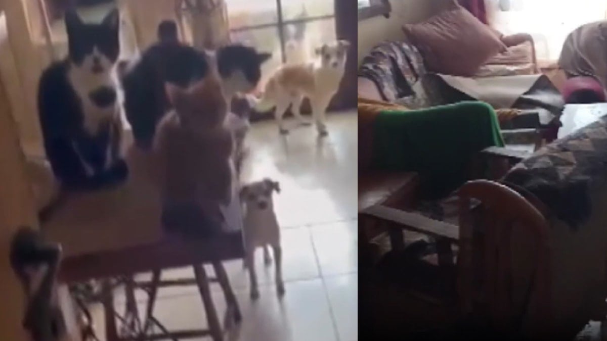 Bu eve giren ekipler gördükleri manzara karşısında neye uğradığını şaşırdı