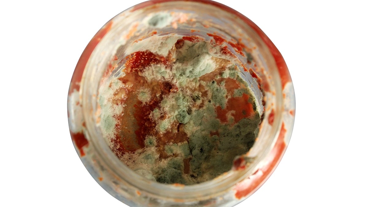 Herkes mutfakta bu hatayı yapıyor: Pişirmek bile fayda etmiyor 