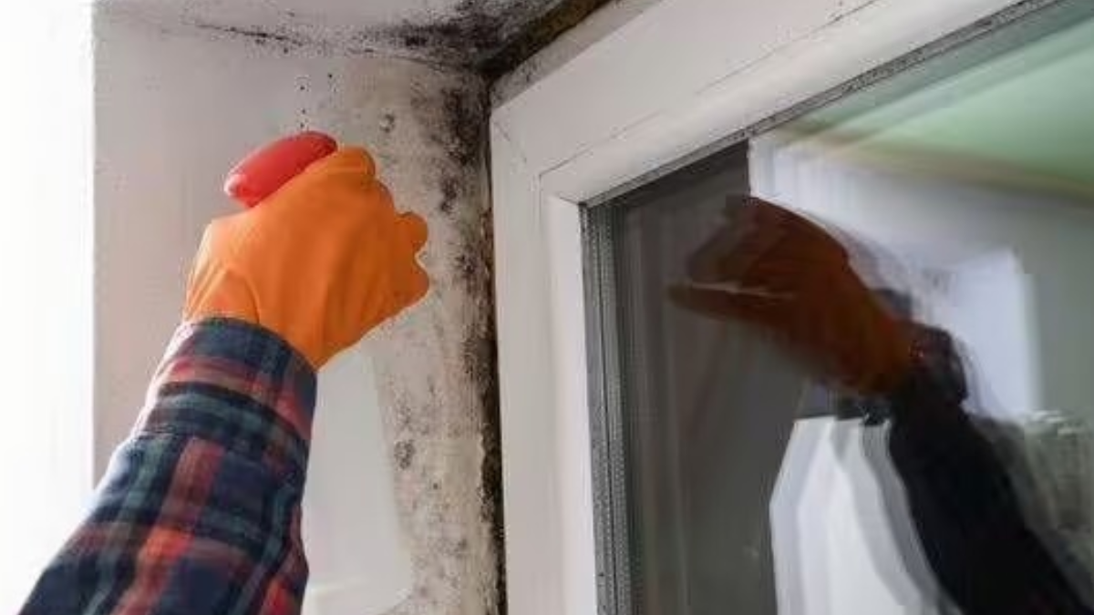 Çamaşır suyundan 100 kat daha etkili ve çok doğal: Küften eser kalmıyor