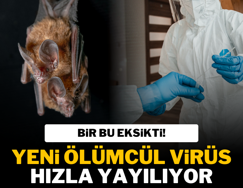 Hindistan'da ölümcül Nipah virüsü alarmı!