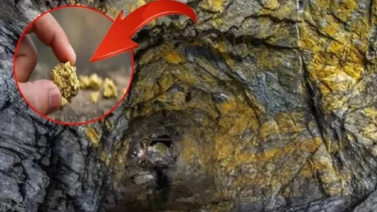 Bölgede külçe külçe altın rezervi bulundu: Çıkarmak için çalışmalar başladı