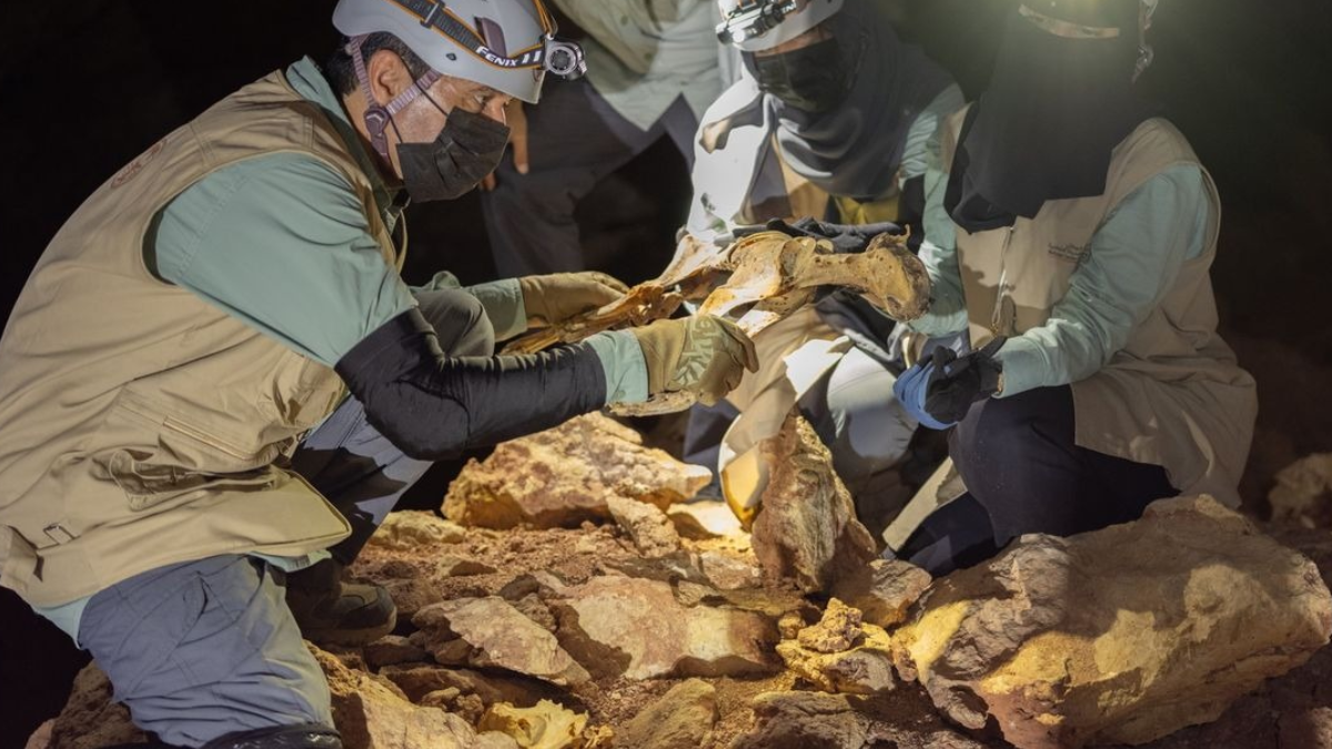 Mağarada 1800 yıl yaşında bir canlı bulundu