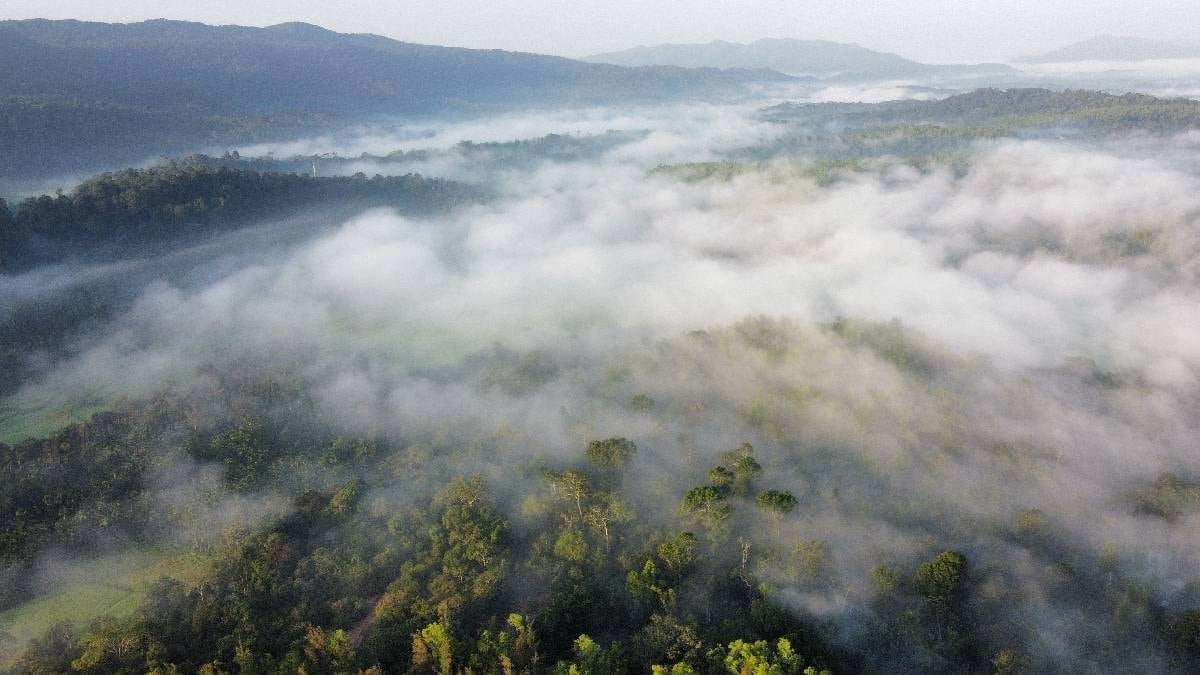 4 mevsimi tarih oluyor: İki yeni mevsim daha ortaya çıktı