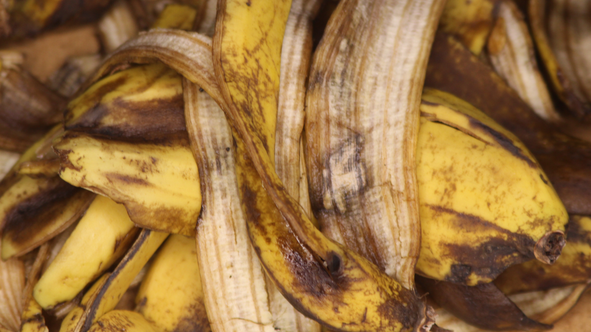 Şubat ayında muz kabuklarını çöpe değil bahçeye atın 