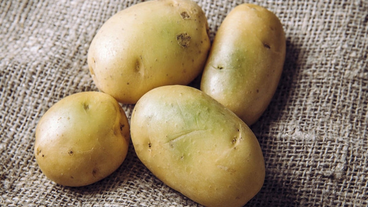 Patatesin üstündeki o leke vücutta birikiyor: Pişirmek de çözüm değil
