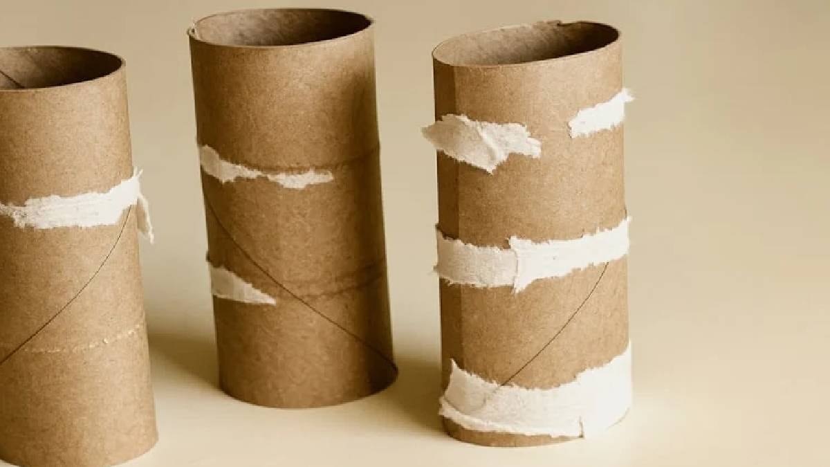 Çöpe atmadan önce iki kez düşünün: Tuvalet kağıdı rulosu aslında büyük bir hazine