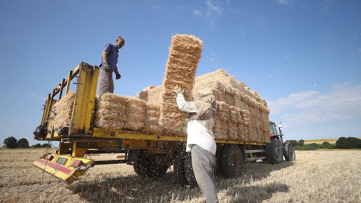 Kara gün dostu faiz batağında