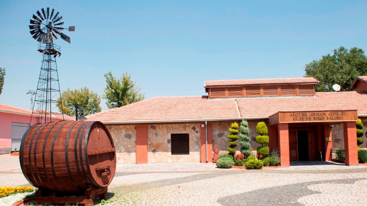 Ata’nın emanetini göz göre göre yok ettiler